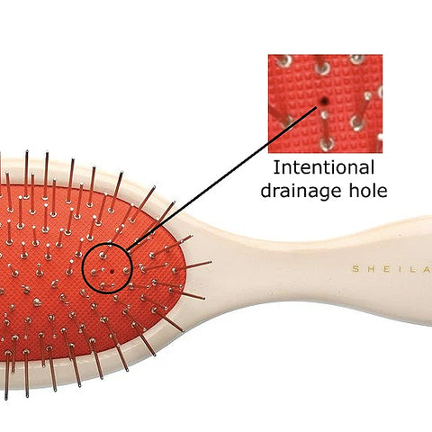 Sheila Stotts Removal brush with drainage hole for wet work